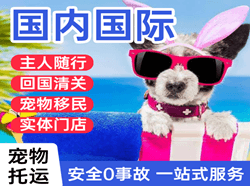 青岛胶东航空快递国际宠物托运 【国